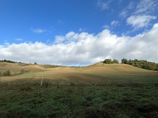 Fattoria del Colle - Agriturismo主图