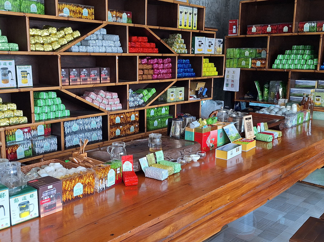 101 Tea Plantation-夜发銮必去景点