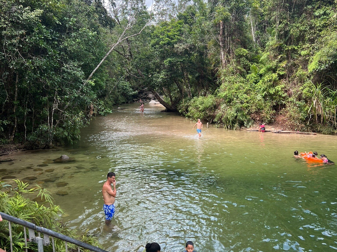 Alligators Nest-Tully必去景点