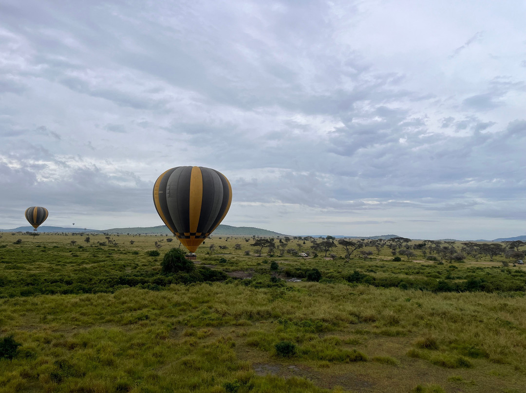 Nyssa Balloon Safaris景点图片