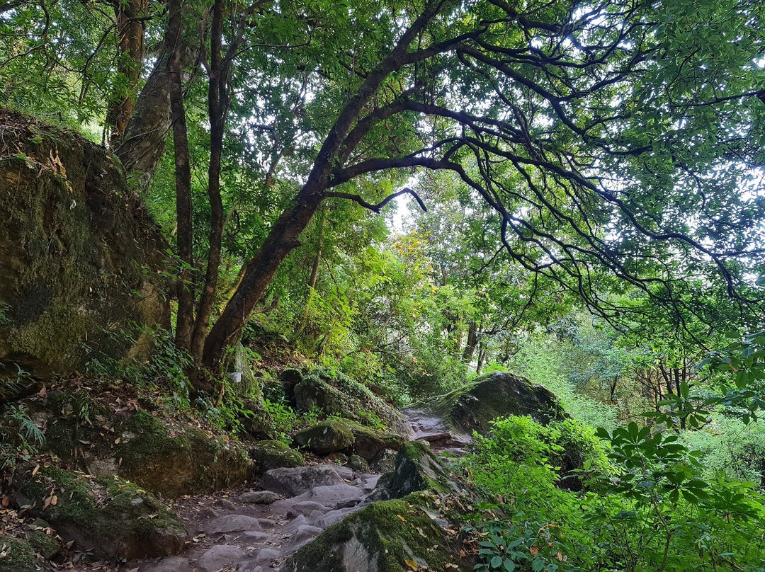 Langtang Valley-Langtang National Park必去景点