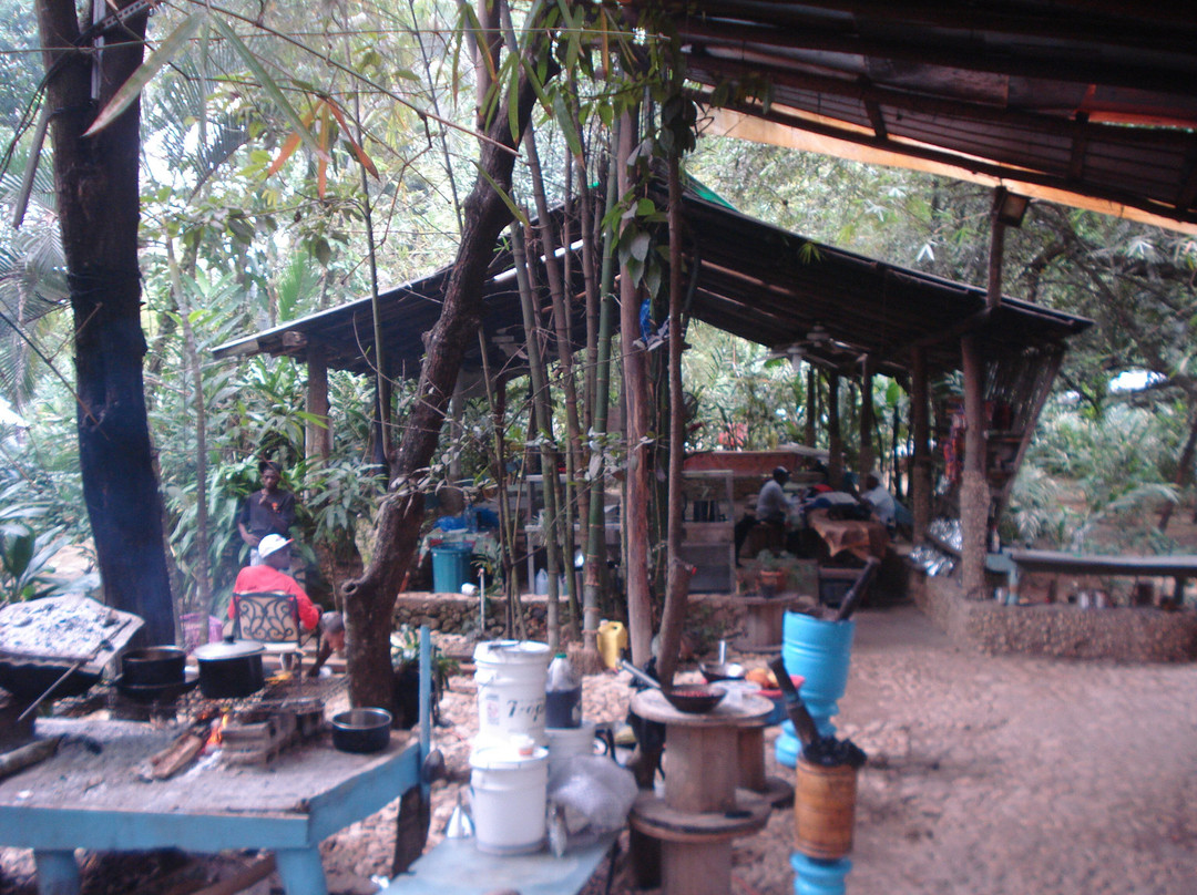 Sultana Tours & Experience-Sabana de la Mar必去景点