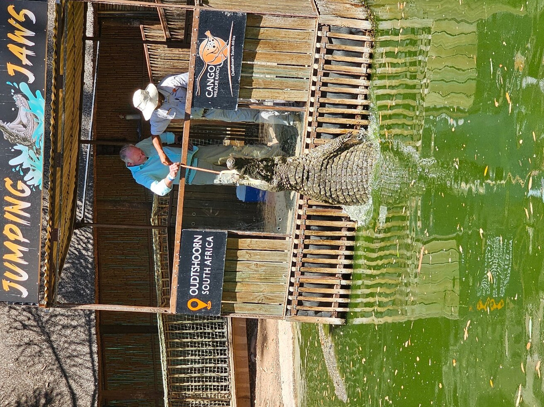 El Dorado Hotel & Self Catering主图