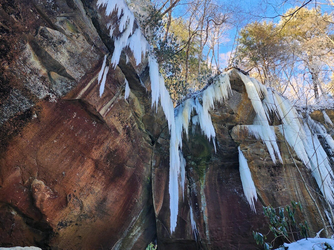Yahoo Falls景点图片