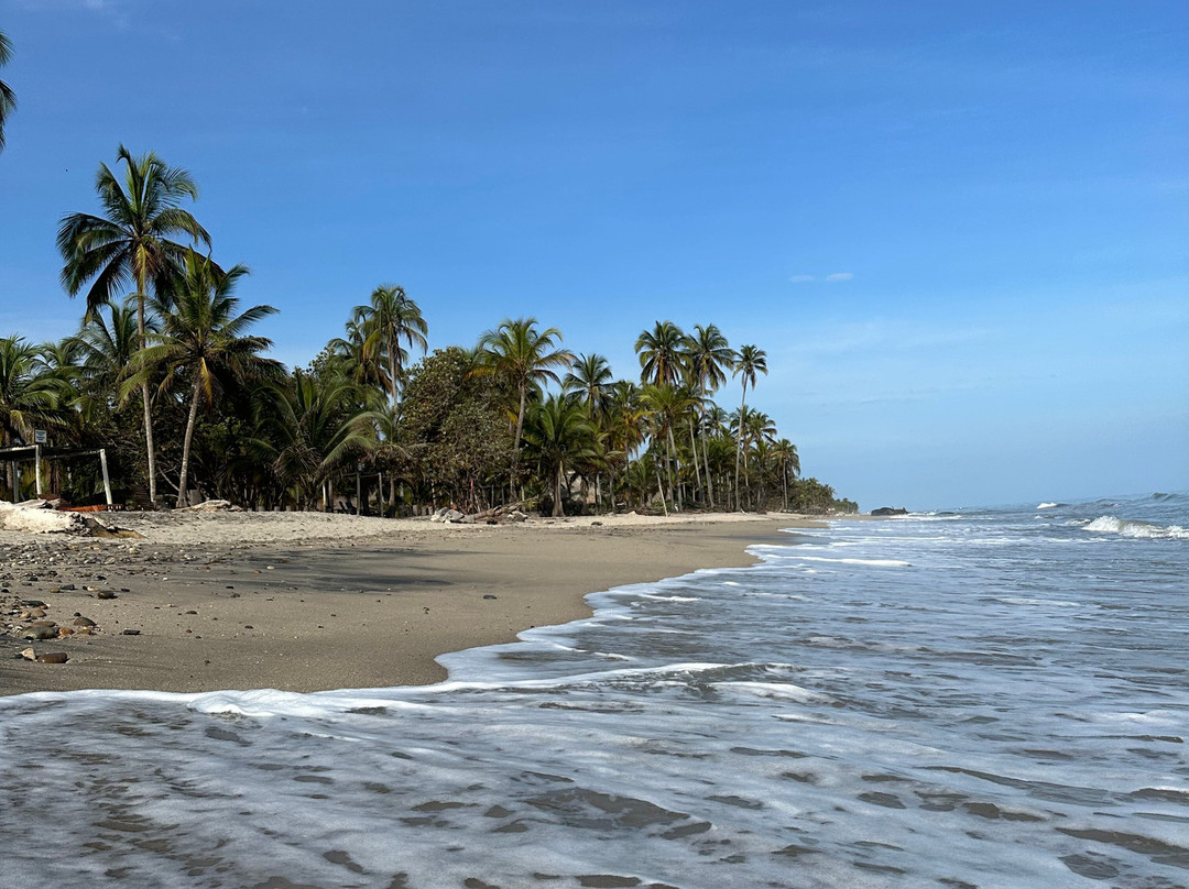 KITEADVENTURE COLOMBIA景点图片