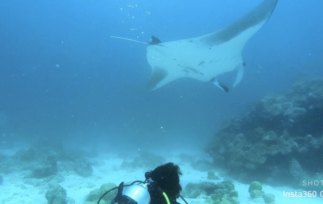 Rasdhoo Dive Club景点图片