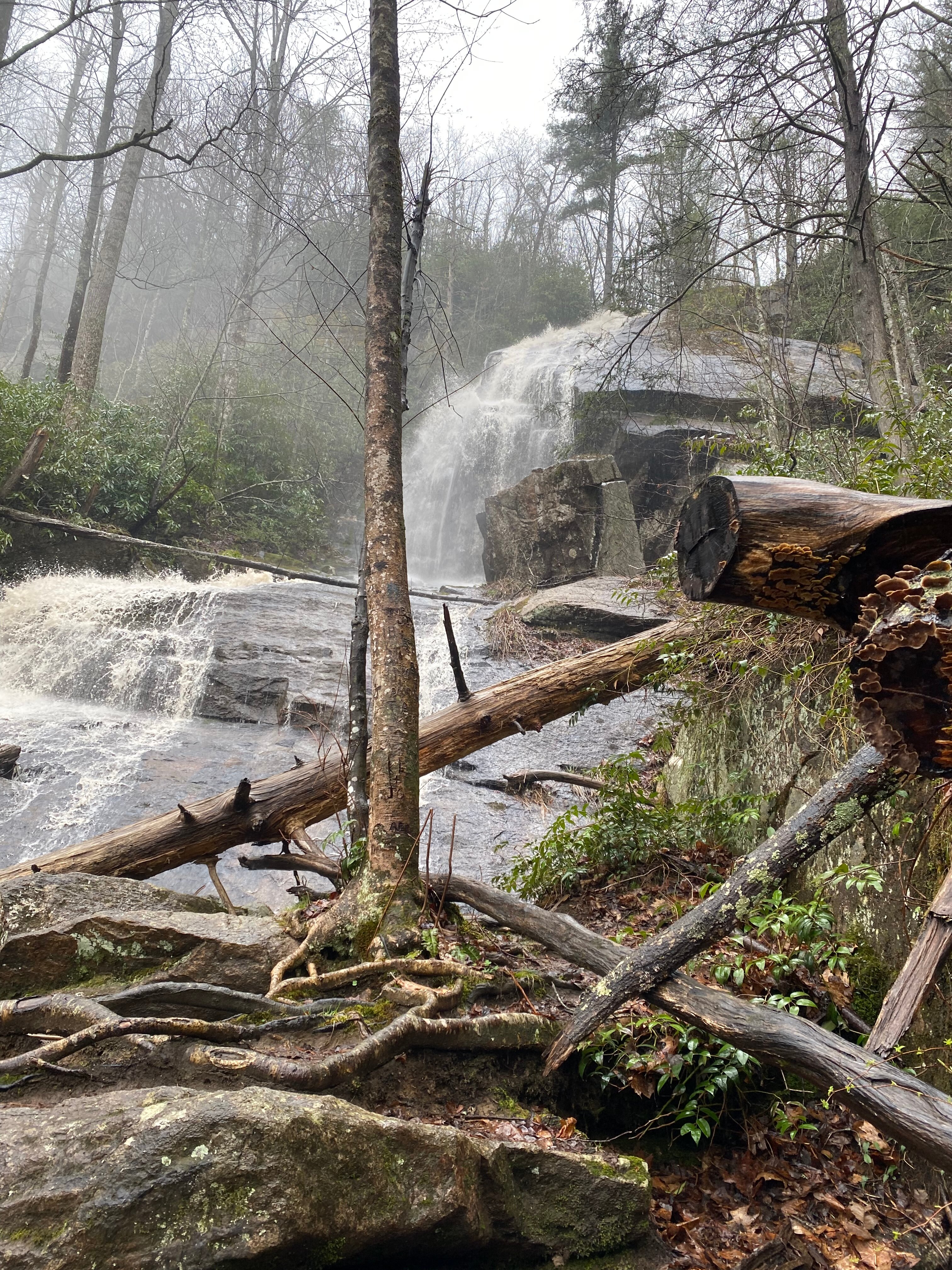 Mountain Harbour Bed and Breakfast-官方