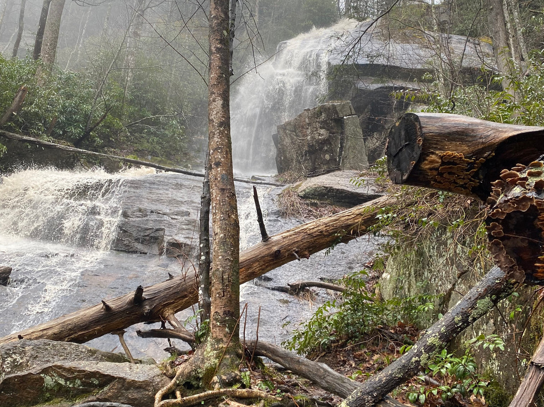 Mountain Harbour Bed and Breakfast主图