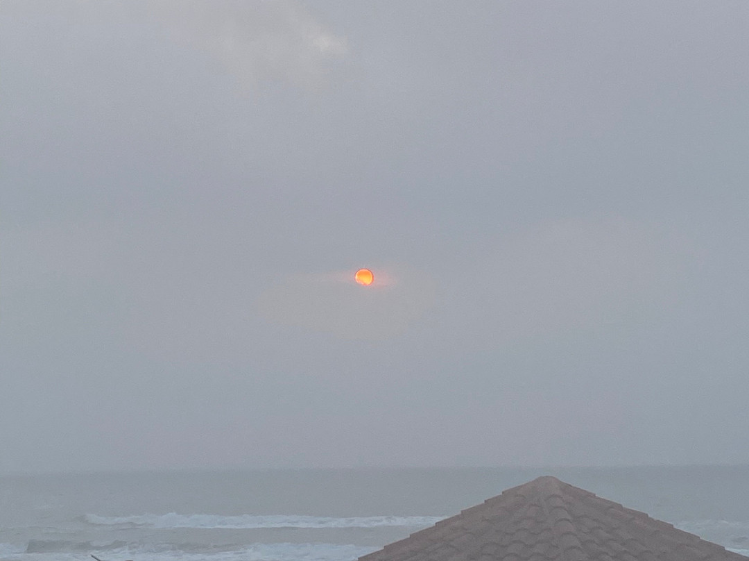 Sand Rose Beach Resort主图