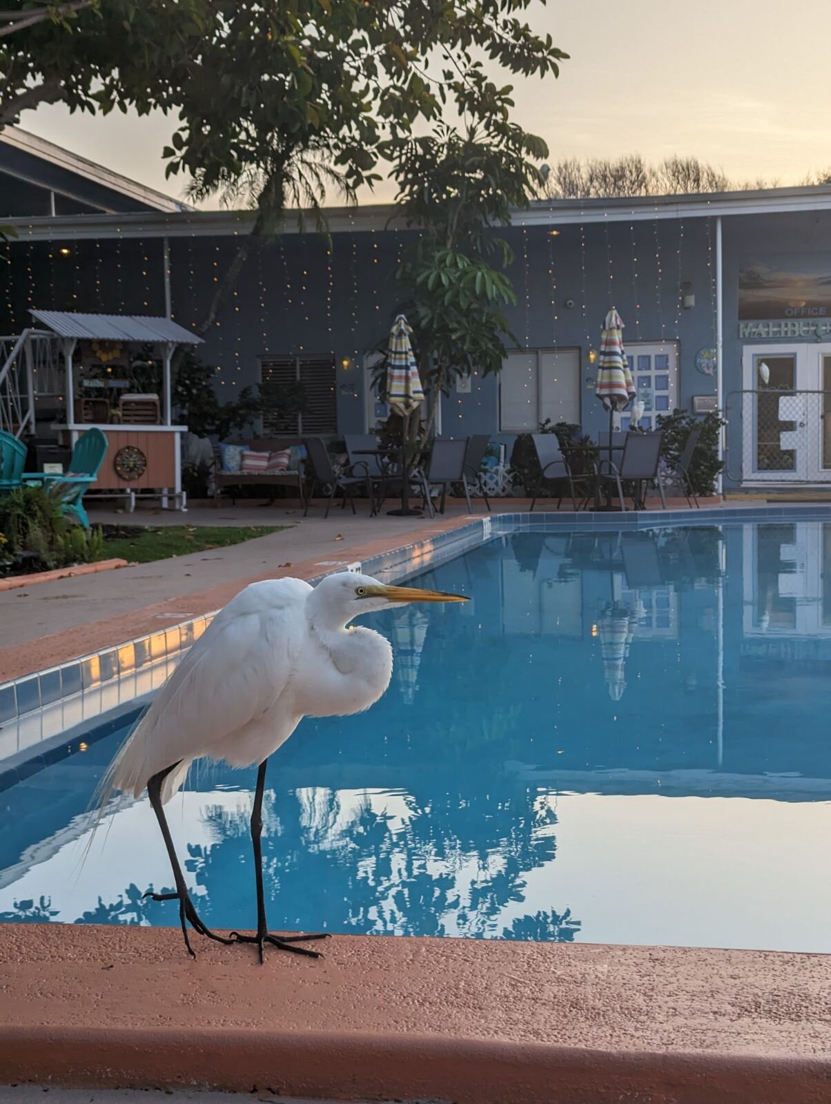 Malibu Resort Motel-官方