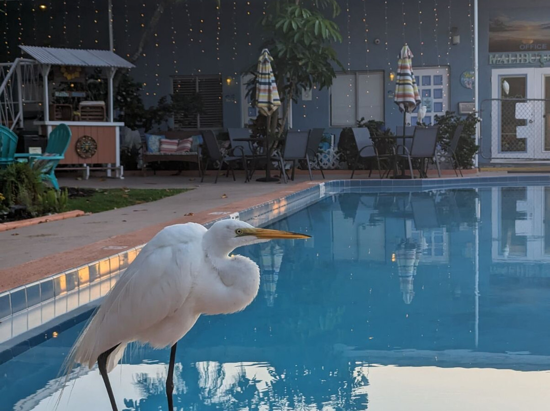 Malibu Resort Motel主图