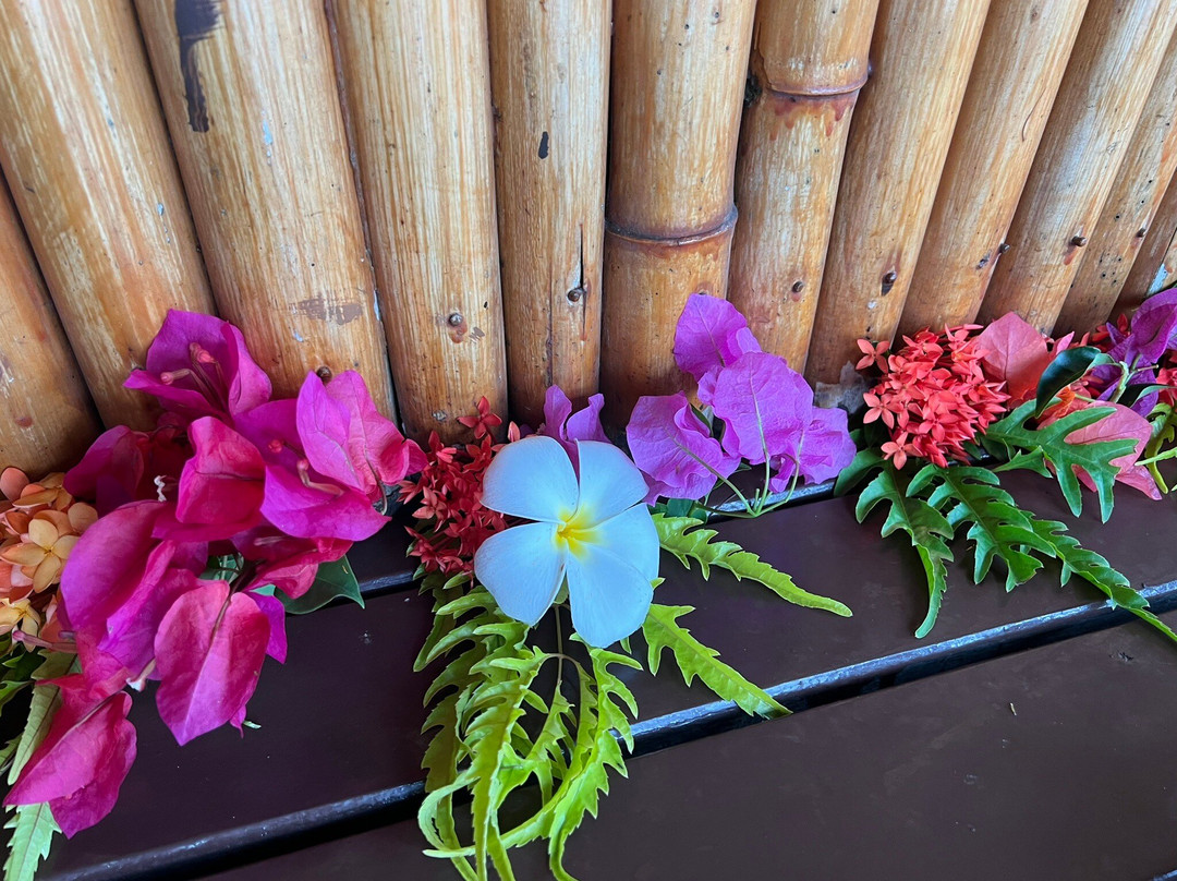 Taveuni Ocean Sports-塔韦乌尼岛必去景点