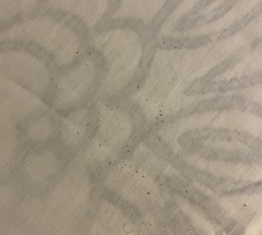 Alexander The Great Hotel主图