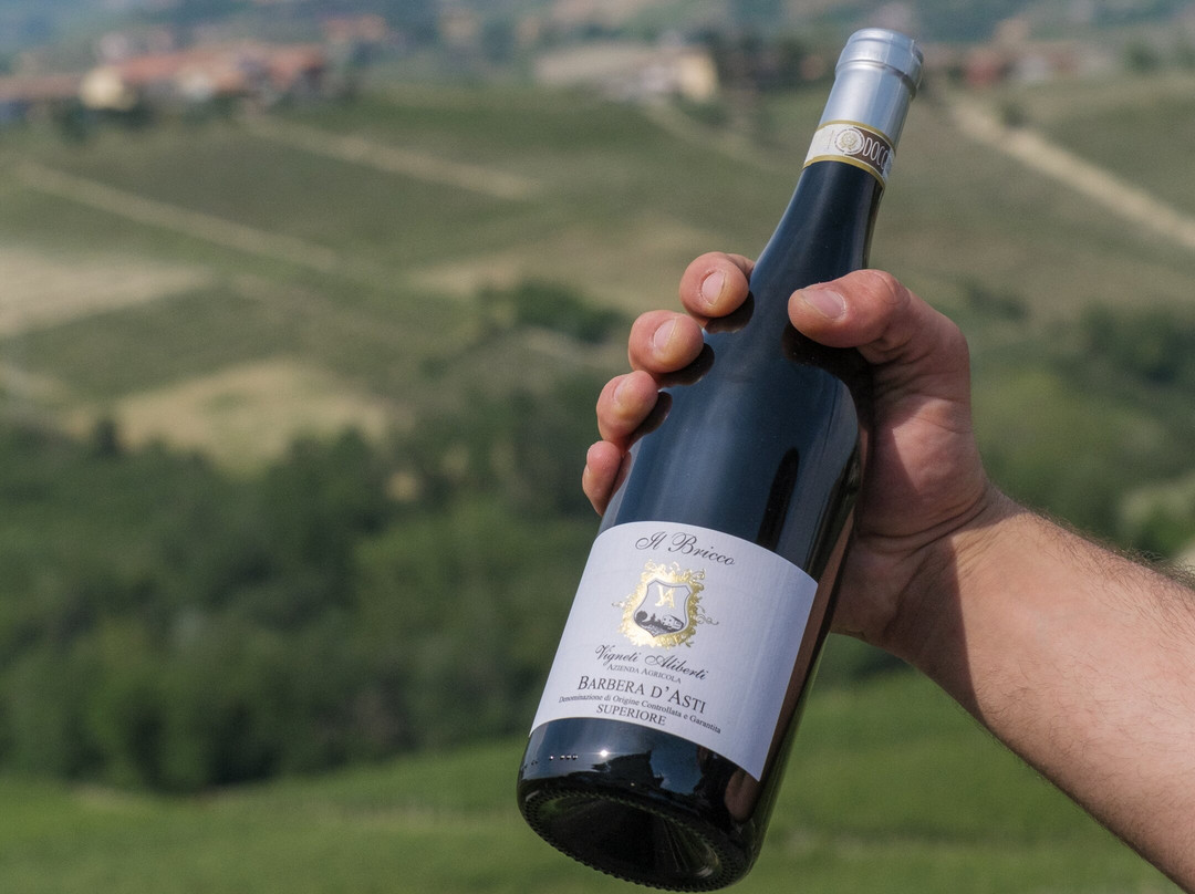 Vigneti Aliberti Azienda Agricola-Canelli必去景点