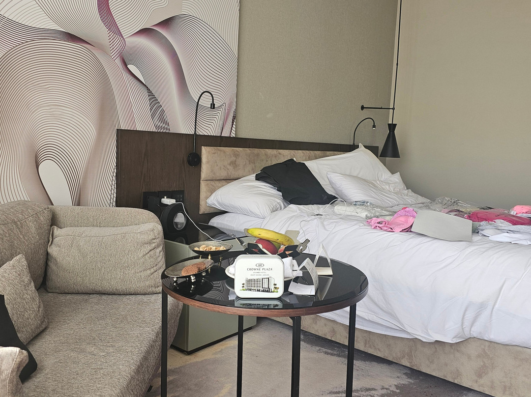 Crowne Plaza West Cairo Arkan By IHG主图