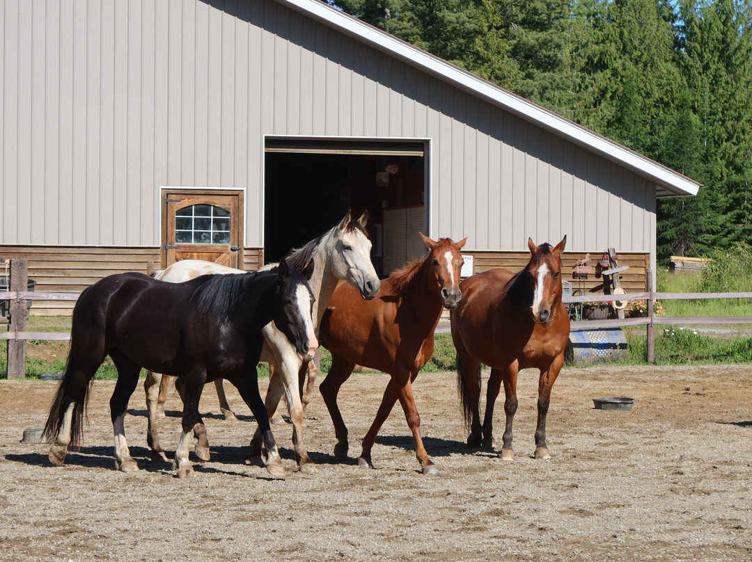 Western Pleasure Guest Ranch主图