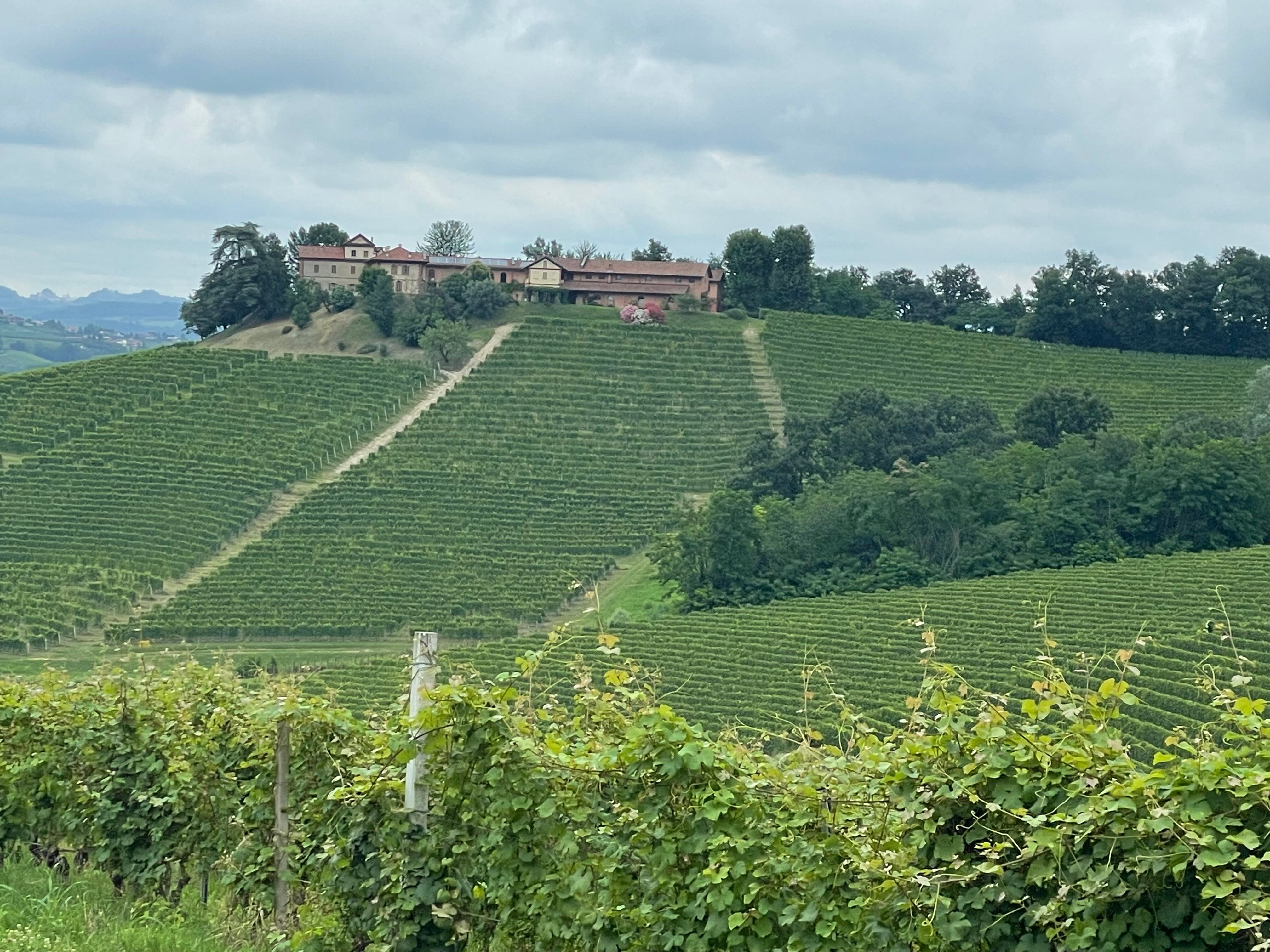 Tenuta Montanello-官方