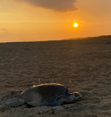 Hux Adventure-Crucecita必去景点