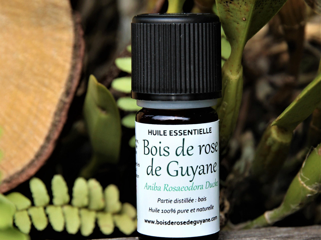 Bois De Rose De Guyane - C. Couturier-Sinnamary必去景点