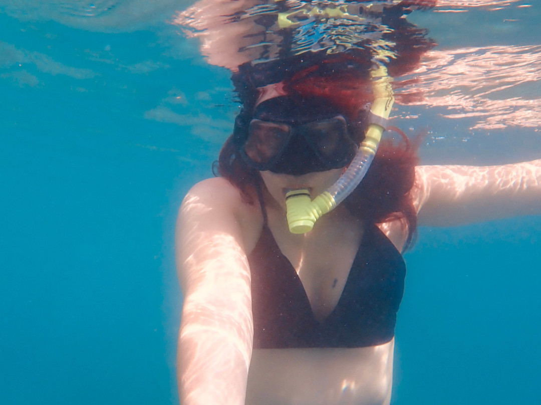 St.Thomas Scuba and Snorkel Adventures-圣 托马斯必去景点