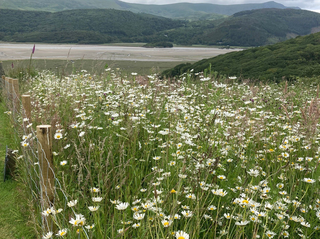 The Slate Shed B &B at Graig Wen主图