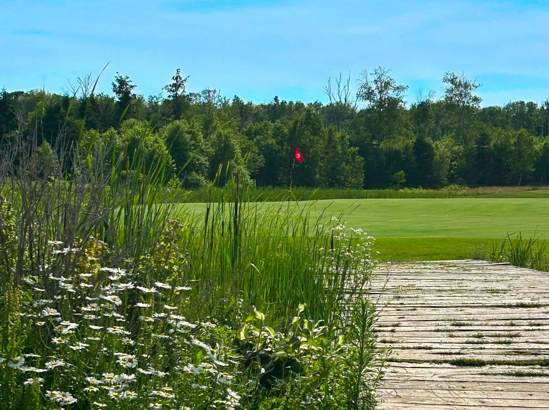 Clyde River Golf and Country Club-Clyde River必去景点