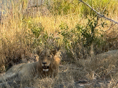 Dongeni Safaris-雾观必去景点