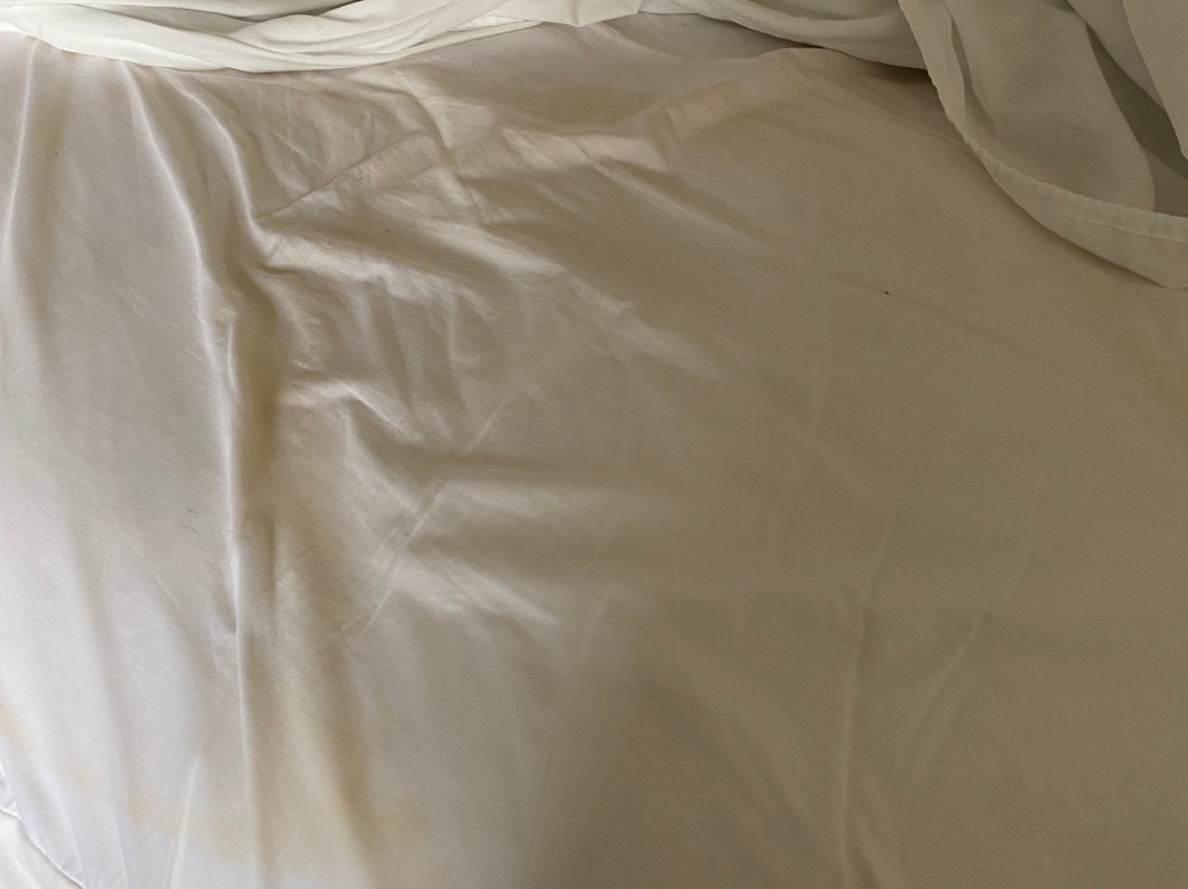 贝斯特韦斯特亚历山德里亚酒店主图