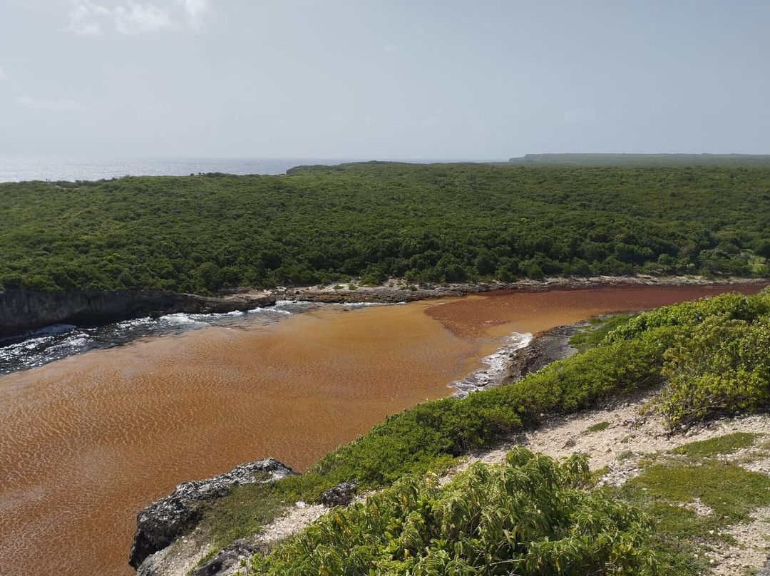 Porte d'Enfer-Le Moule必去景点