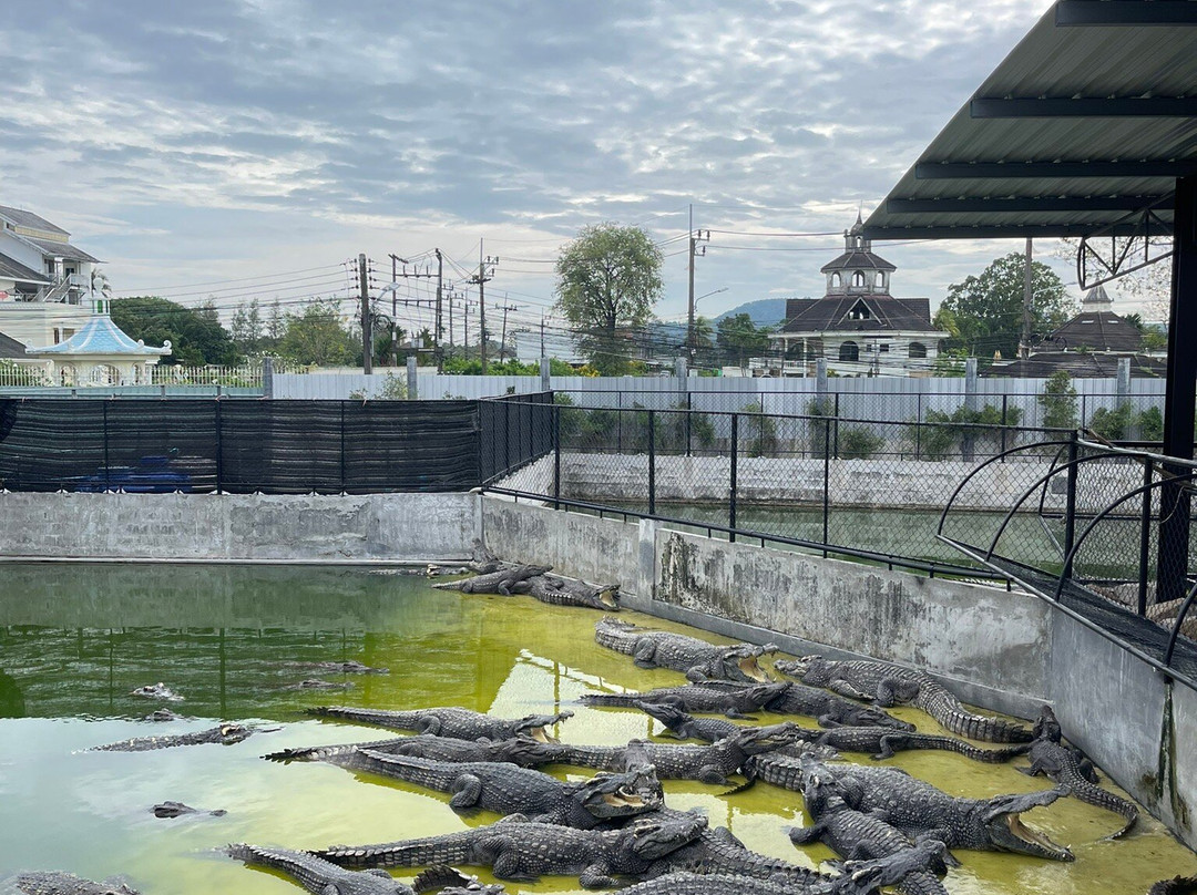 Phuket Guide Driver-Wichit必去景点