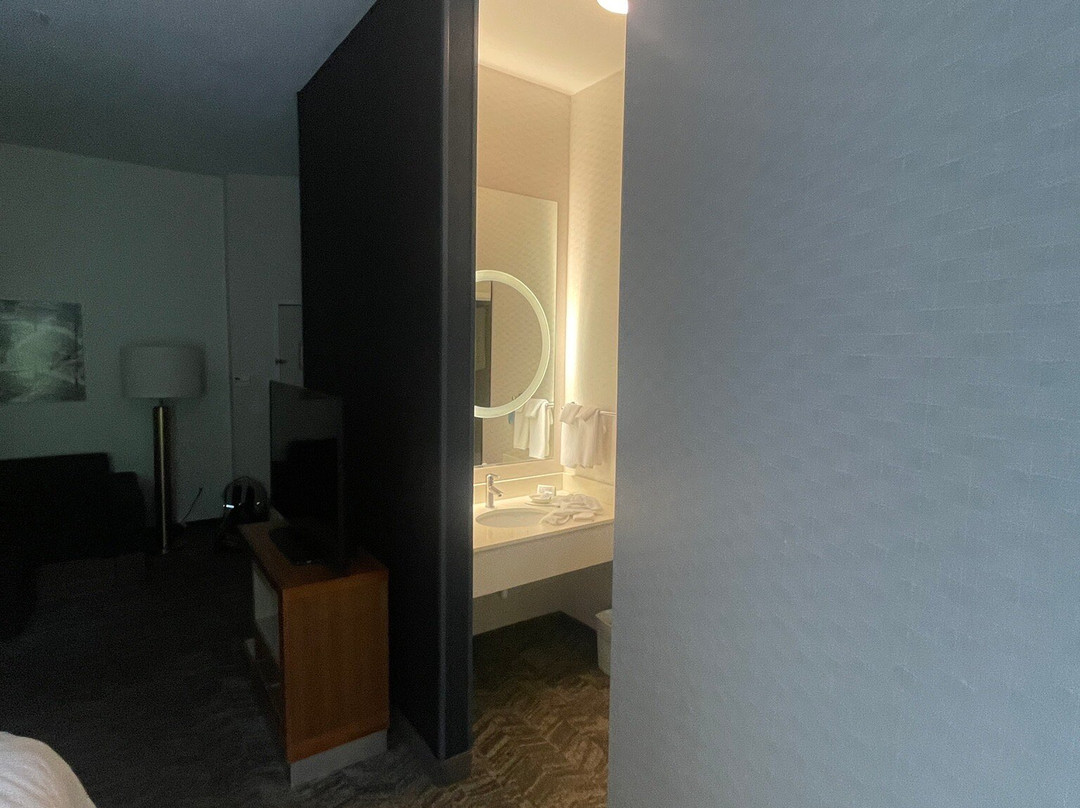 SpringHill Suites by Marriott Alexandria主图