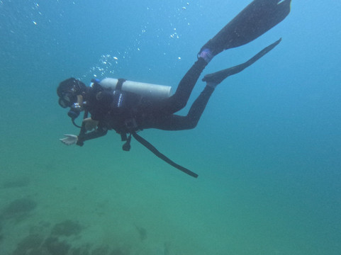 Life & Dive-Playas del Coco必去景点