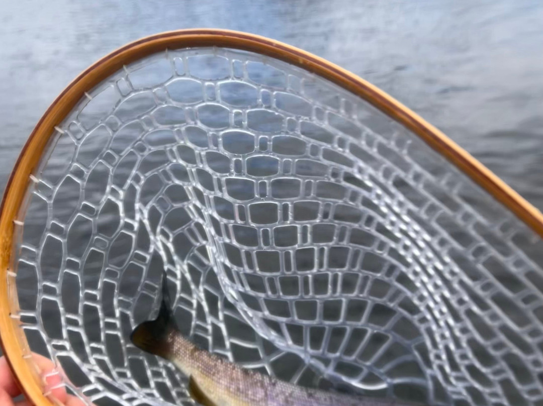 Denali Fly Fishing Guides景点图片