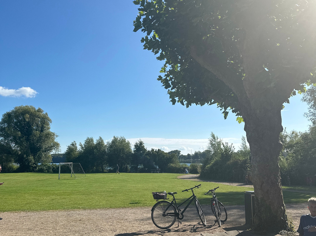 Christiansminde Is & Minigolf-斯文堡必去景点