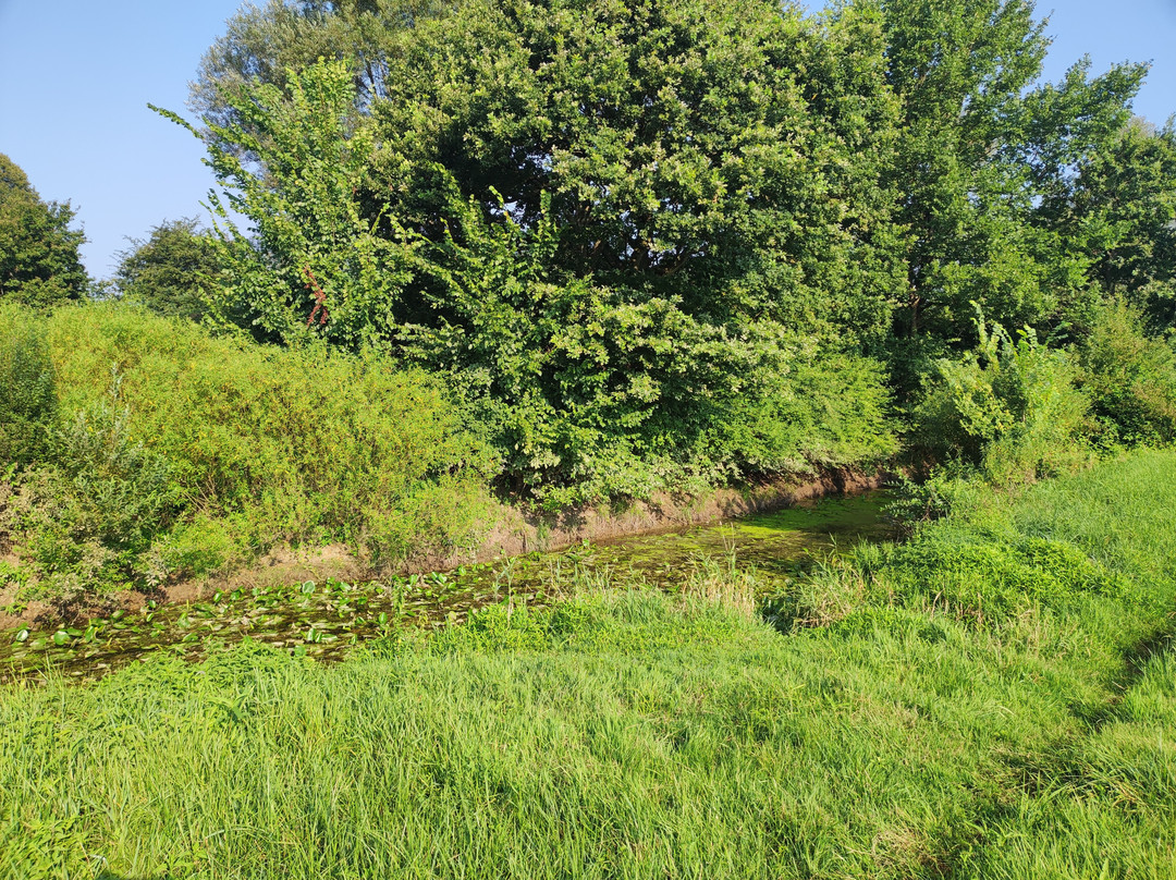 The Former Ljubljanica River Bed-Preserje必去景点