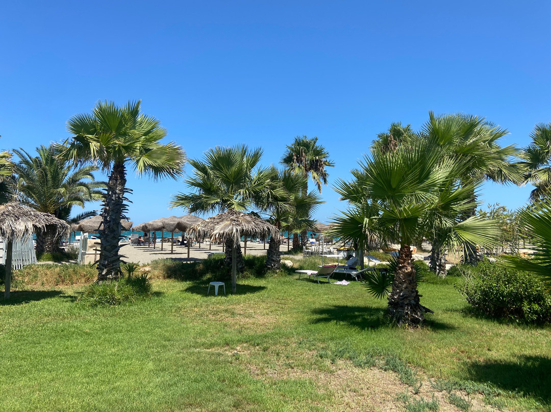 B&B Fenicottero Rosa主图