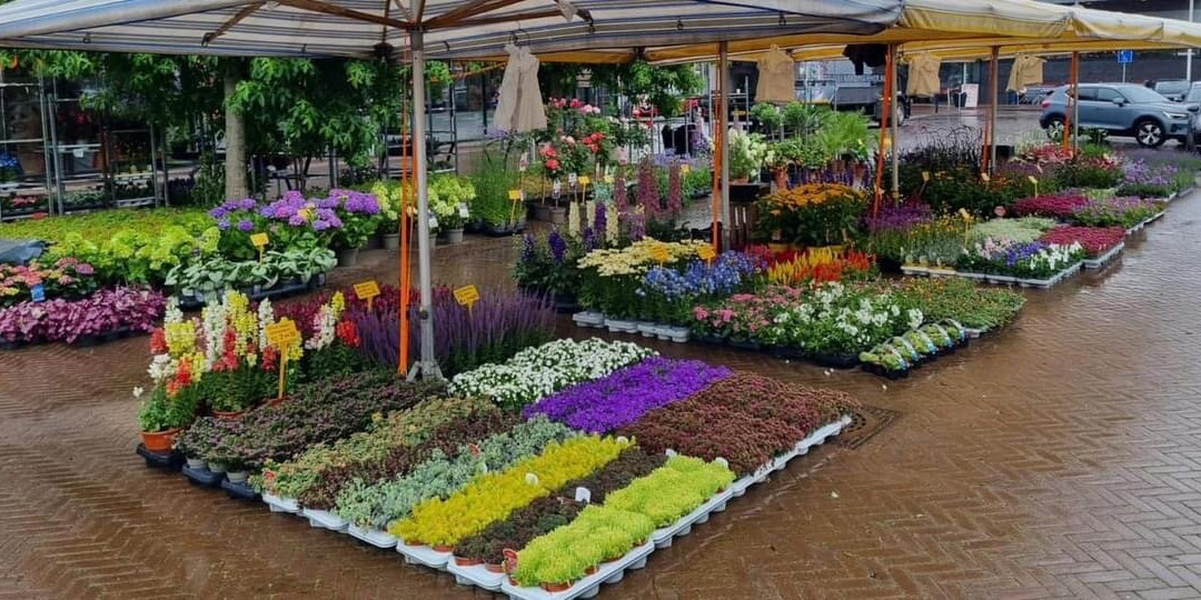 Weekmarkt Doetinchem-Doetinchem必去景点