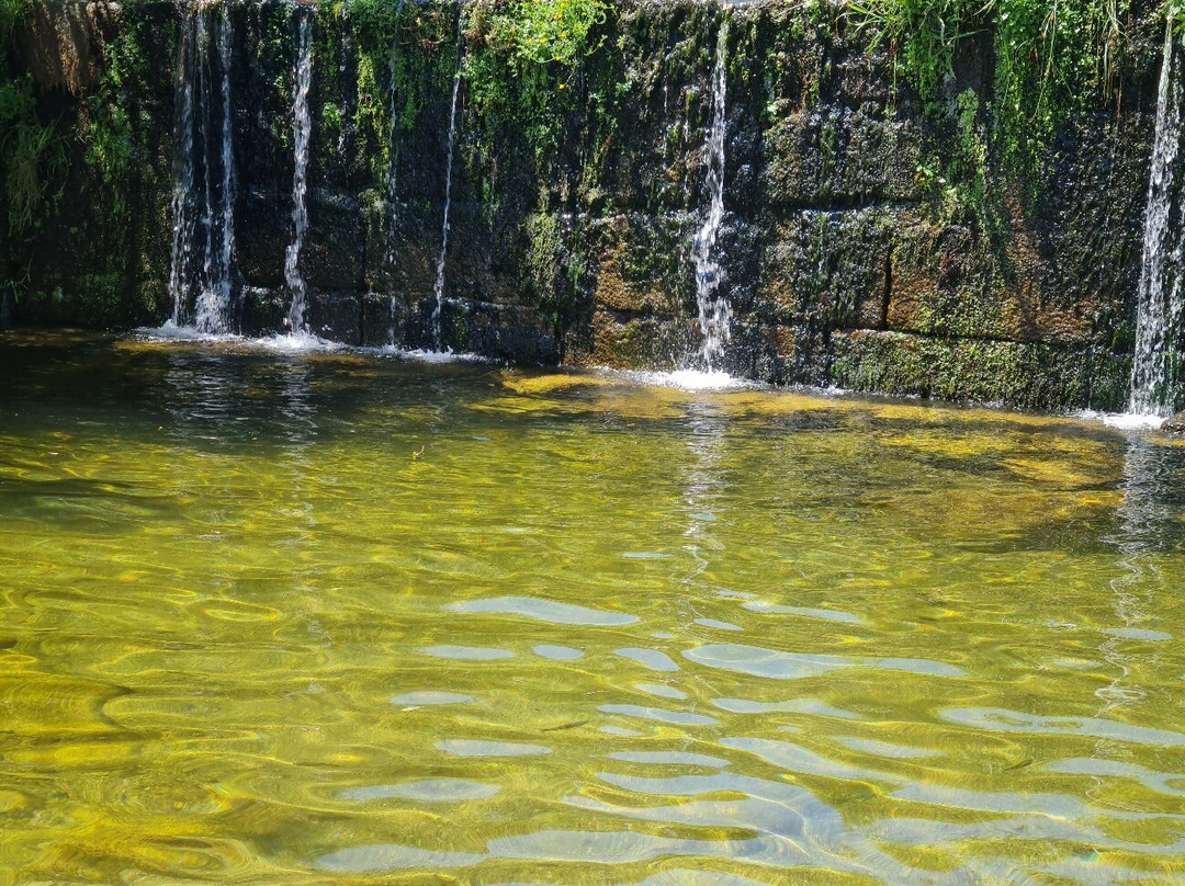Praia Fluvial de Castelo Novo景点图片
