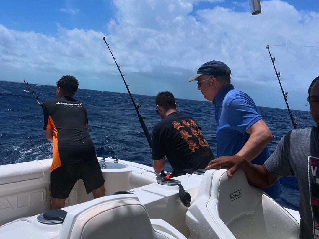 Island Roots-普罗维登西亚莱斯必去景点