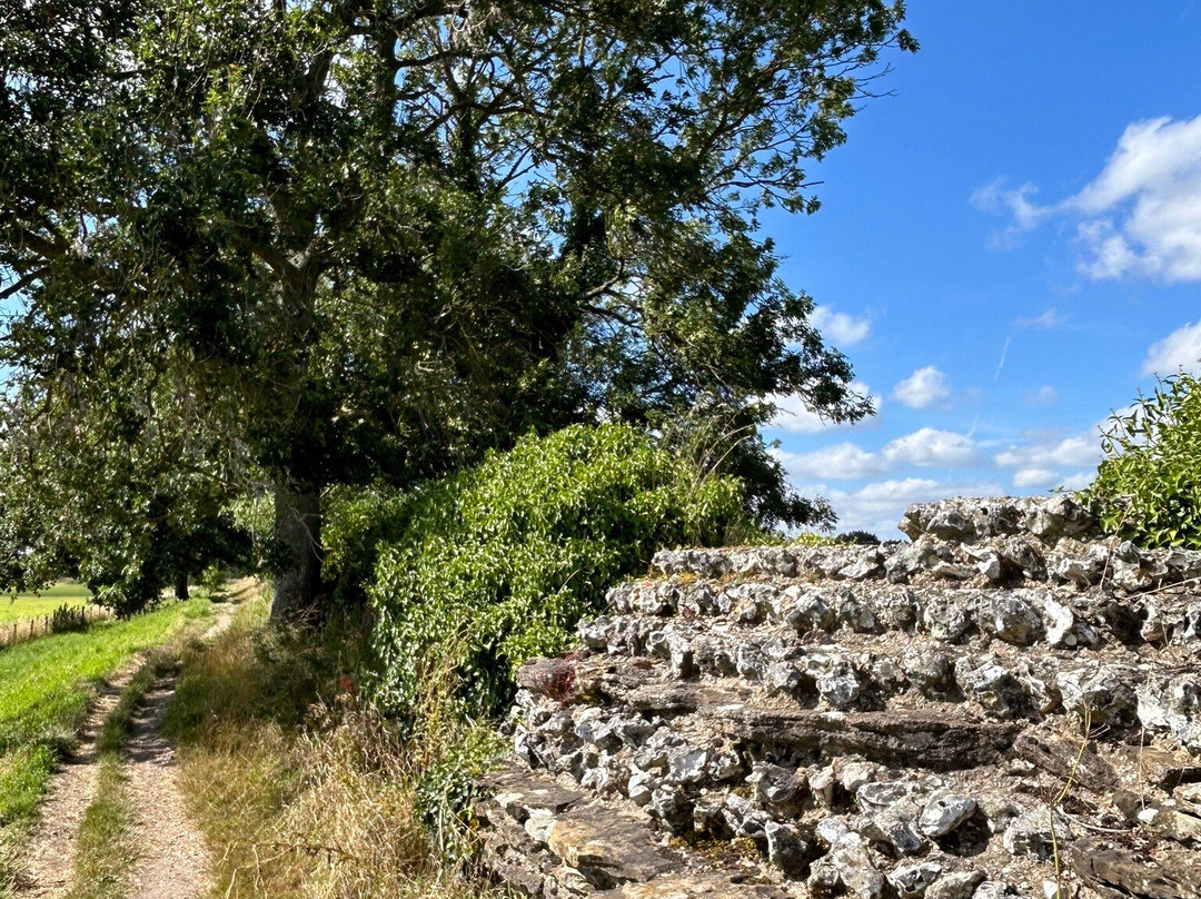 Silchester Roman City Walls and Amphitheatre-Silchester必去景点