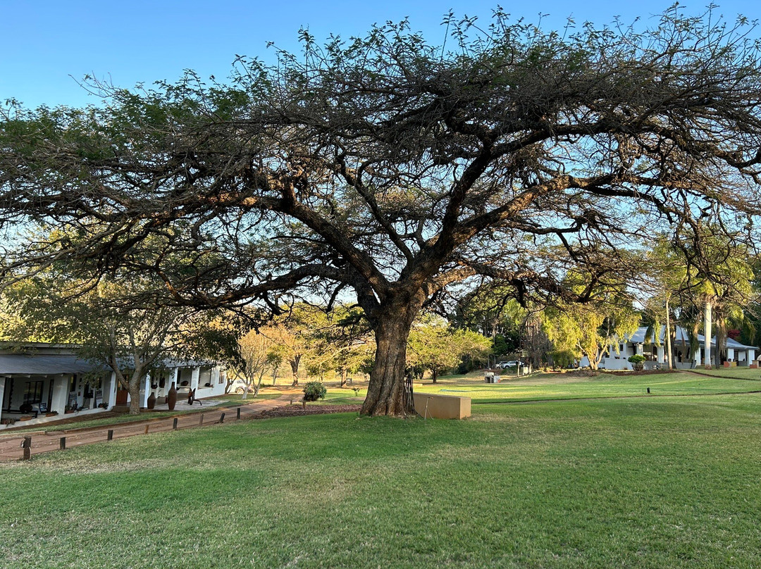 Madi a Thavha Mountain Lodge主图