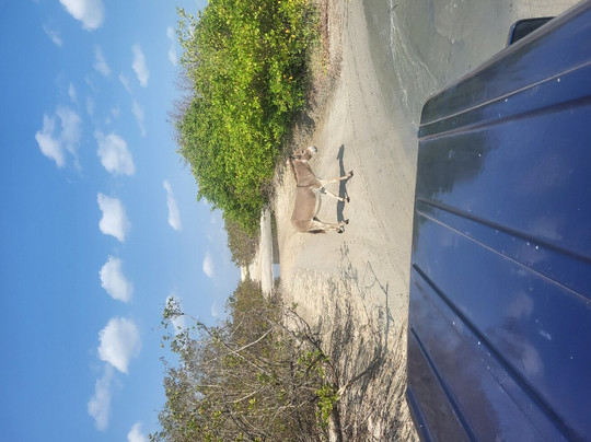 Phill Adventure - Turismo Off Road-杰里科科拉必去景点