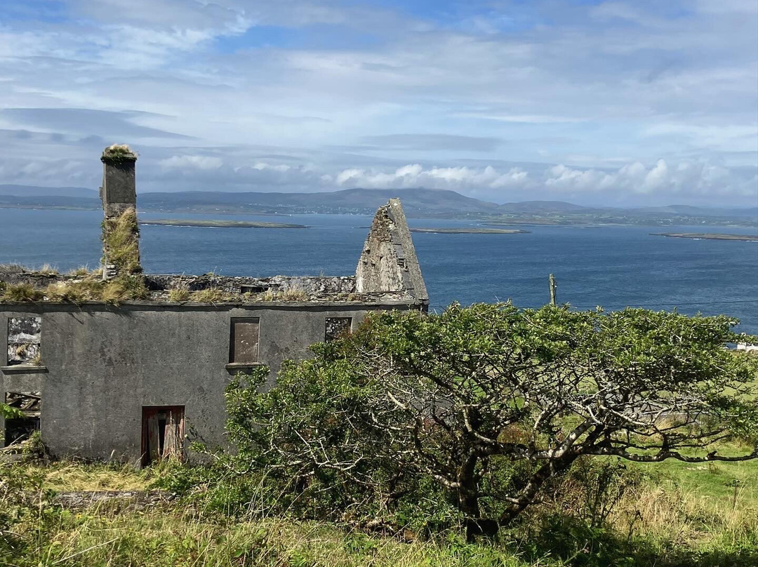 Cape Clear Ferry-Schull必去景点