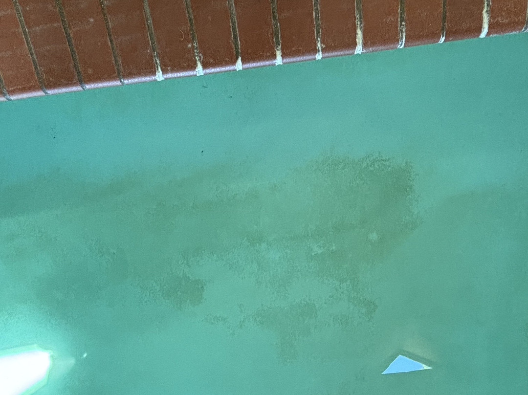 Staybridge Suites Rocklin - Roseville Area by IHG主图