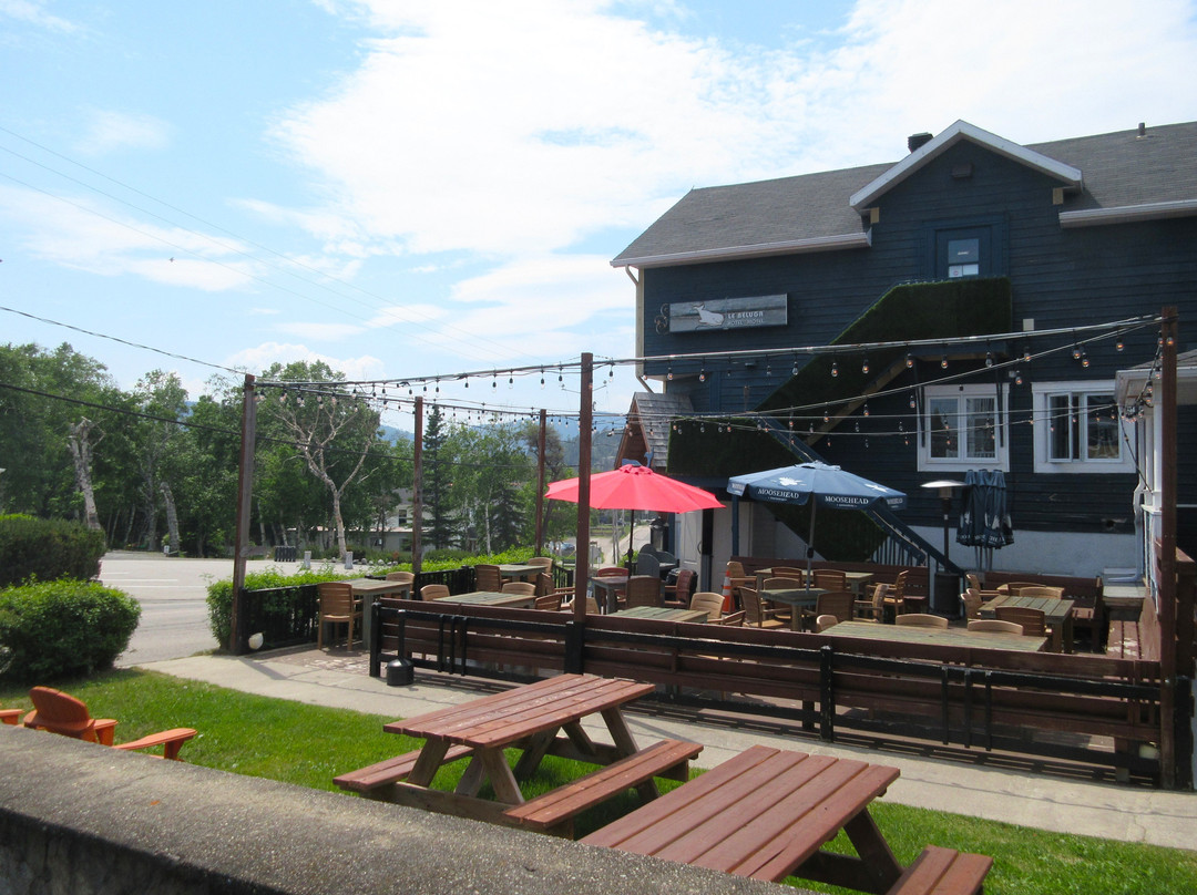 Hotel - Motel Le Beluga主图