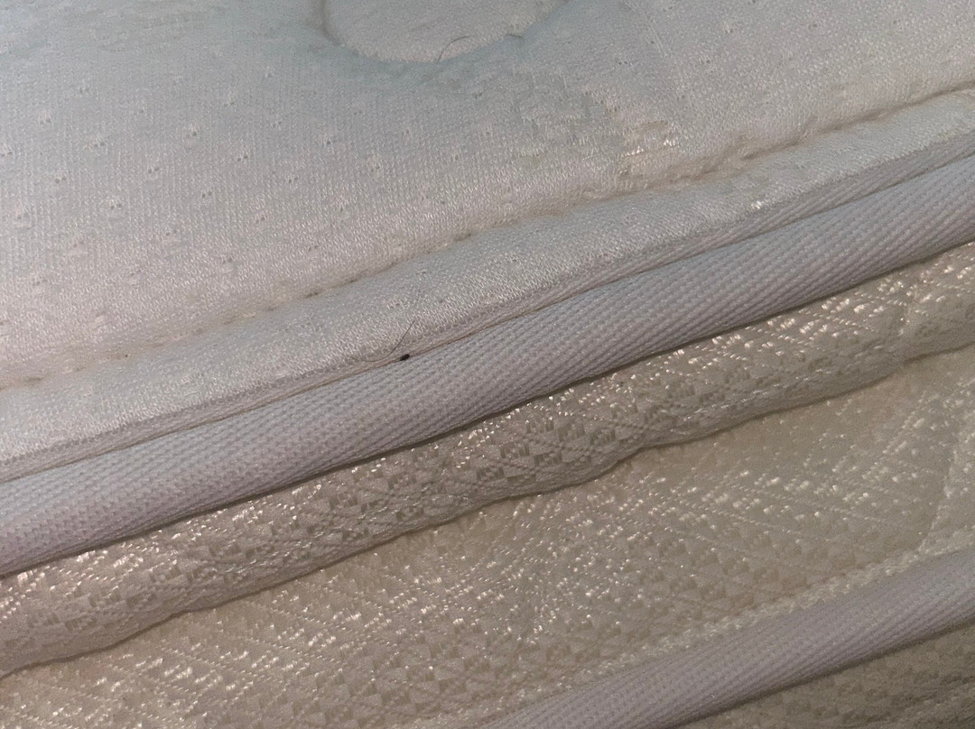 Cambria Hotel Madison East主图