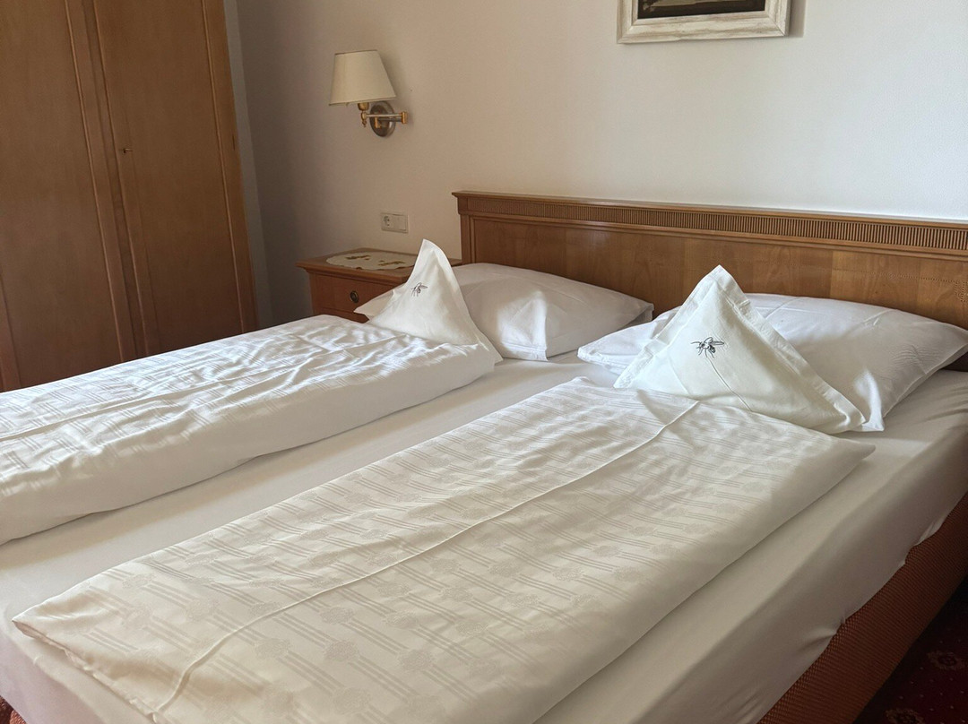 Apipura  - Hotel Rinner主图