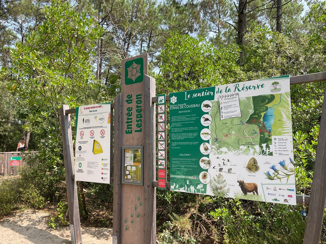 Réserve Naturelle De l'Etang De Cousseau景点图片