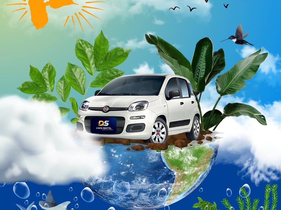 Ds Cars Rental-Les Abymes必去景点