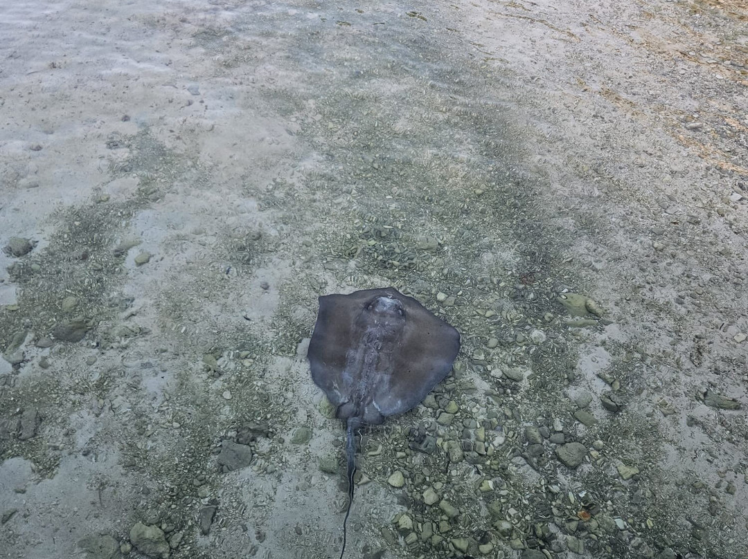 Carib Sands Beach Resort主图